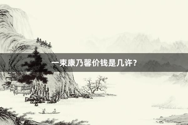一束康乃馨价钱是几许？