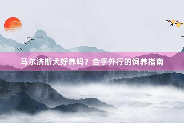 马尔济斯犬好养吗？合乎外行的饲养指南